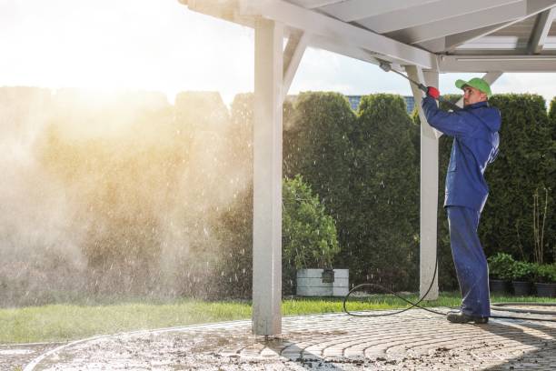 Best Roof Washing  in St Francis, MN