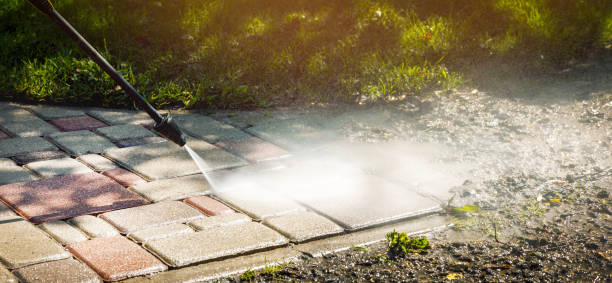 Best Dumpster Area Cleaning  in St Francis, MN